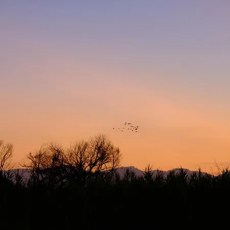 Casa Di Stefy Διαμέρισμα Quartu SantʼElena